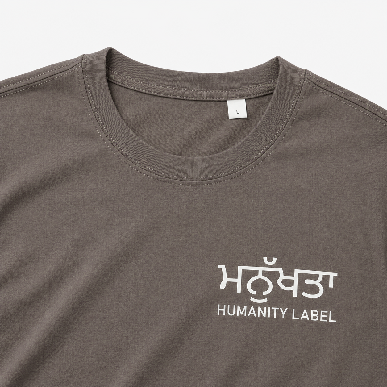 Punjabi Humanity | Slate Tee